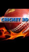 3D Cricket