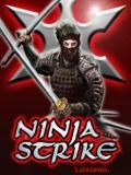 Ninja Strike 3rd