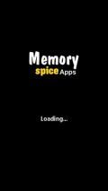 SpiceLabs Memory - 640x360 Touch Game