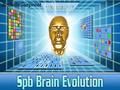 Spb Brain Evolution