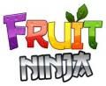 Fruit Ninja 5800