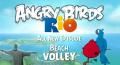 Angry Birds Rio 2 Beach volley