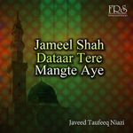 Javeed Ali Pick Up The Phone 72