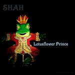 Shah Mashkoor Ali Please Pick Up The Phone 92