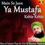 Ya Nabi Sallu Alai,Allah O Allah - Alhaj Muhammad Owais Raza Qadri
