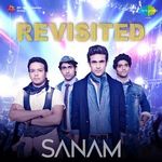 Sanam Teri Kasam