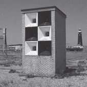 Standard Hoodlum Issue ..