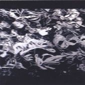 Chicken Song 🐔🎶