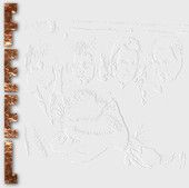 Caly Ten Swiat 🎶🌍