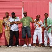 Who Let The Dogs Out? �..