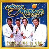 Puras Mentiras 🎶✨