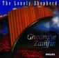 The Lonely Shepherd - Gheorghe Zamfir