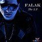 Nice Flute Tune - Falak