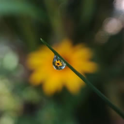 Waterdrop